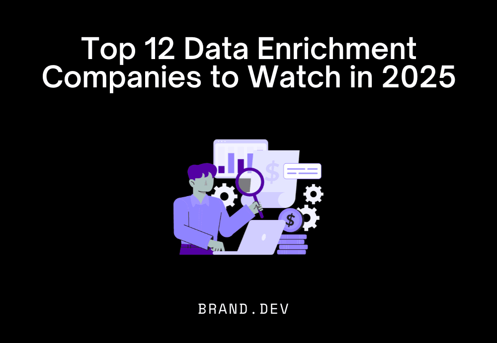 Top 12 Data Enrichment Companies to Watch in 2025