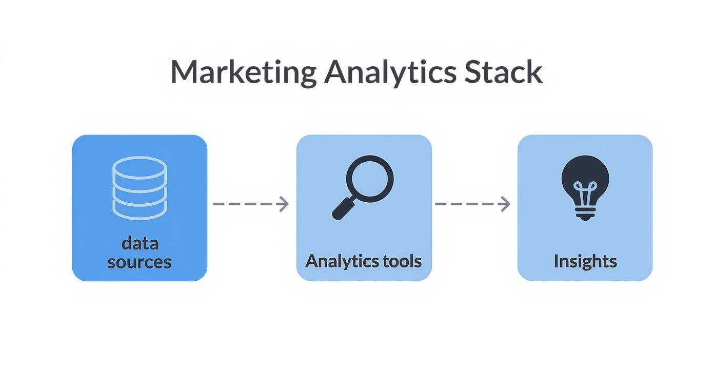 Infographic about what is marketing analytics