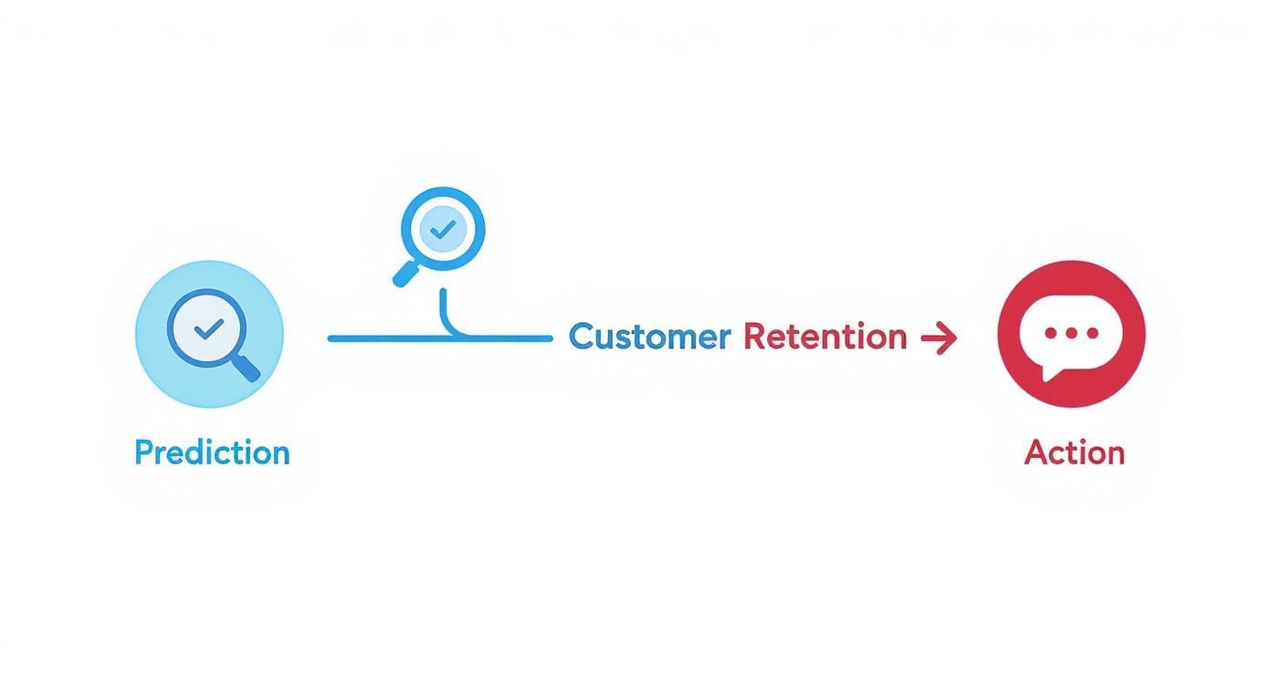 Infographic about models for marketing